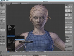    Blender v.2.70     3D-