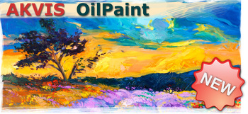      AKVIS OilPaint 3.0