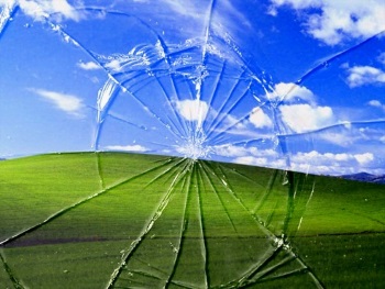  Windows XP    