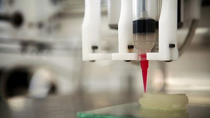 Российские ученые впервые в мире напечатали щитовидную железу на 3D-принтере