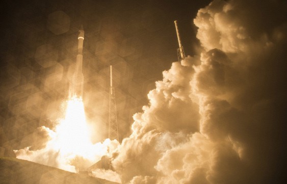 
   Cygnus        
