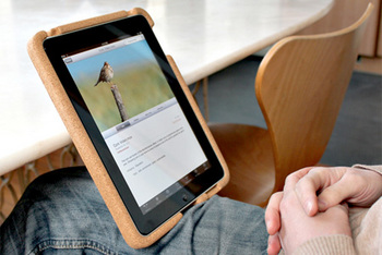 Apple    iPad  ?