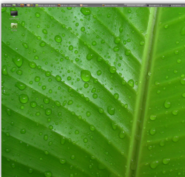    Cinnamon 1.2      Linux