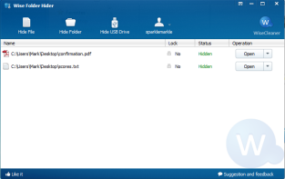 Wise Folder Hider      