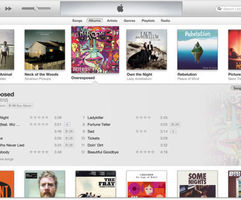 Apple     iTunes   