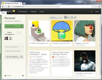 Springpad 4.0    21 