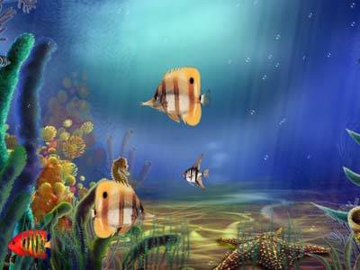  Animated Aquarium Screensaver