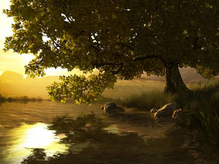  Lake Tree 3D Screensaver