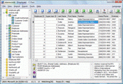  xBaseView Database Explorer