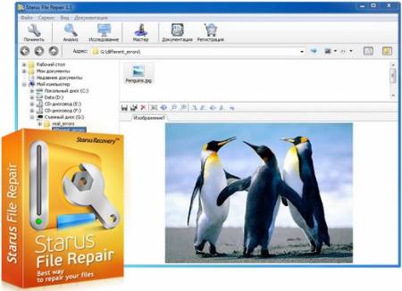  Starus File Repair